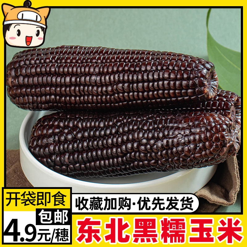 Northeast black glutinous corn purple sweet corn grains fresh sticky corn non-genetically modified vacuum sticky rice grains