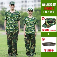 Хлопковая футболка, штаны, шапка, ремень