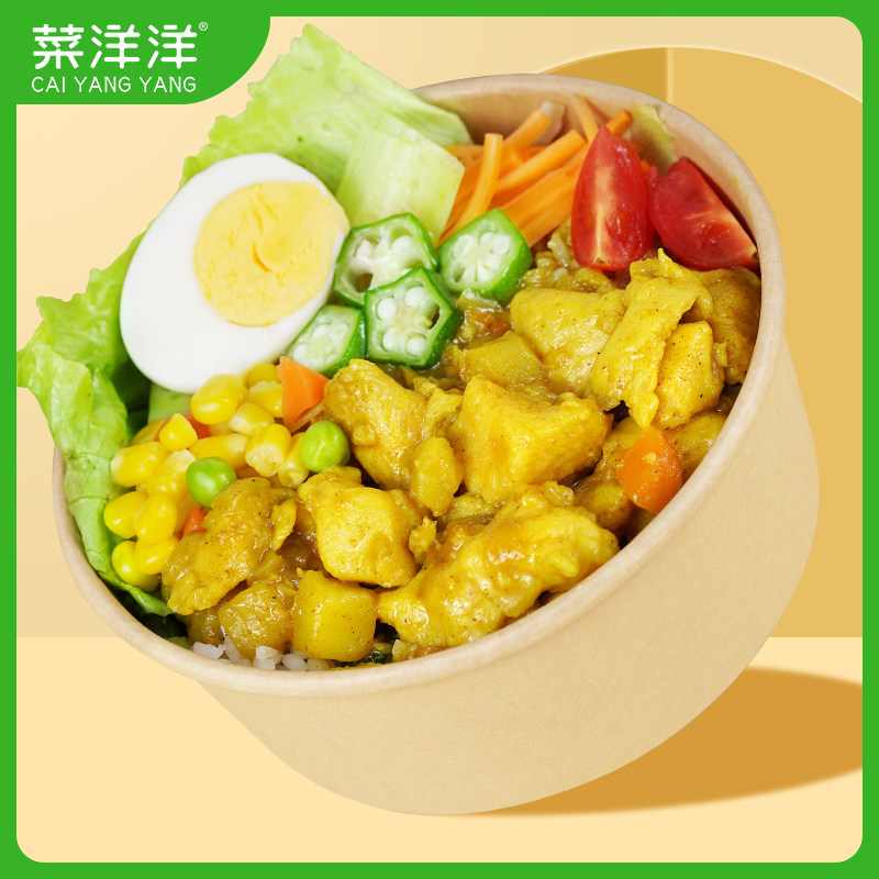Vegetable Ocean (curry chicken) 220g FROZEN COVER MEAL Quick Food Commercial Takeaway Snack Finished Dish