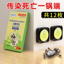 Powerful Cockroach Drug Full Nest End Home Jedi and anti-cockroach Divine Instrumental Killing cockroach Cockroach Bait Non-Innocuous