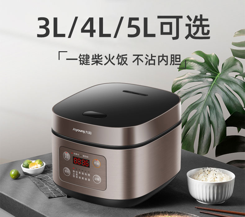 九阳 F-30FZ820 电饭煲 3L 适合5人以内 图1