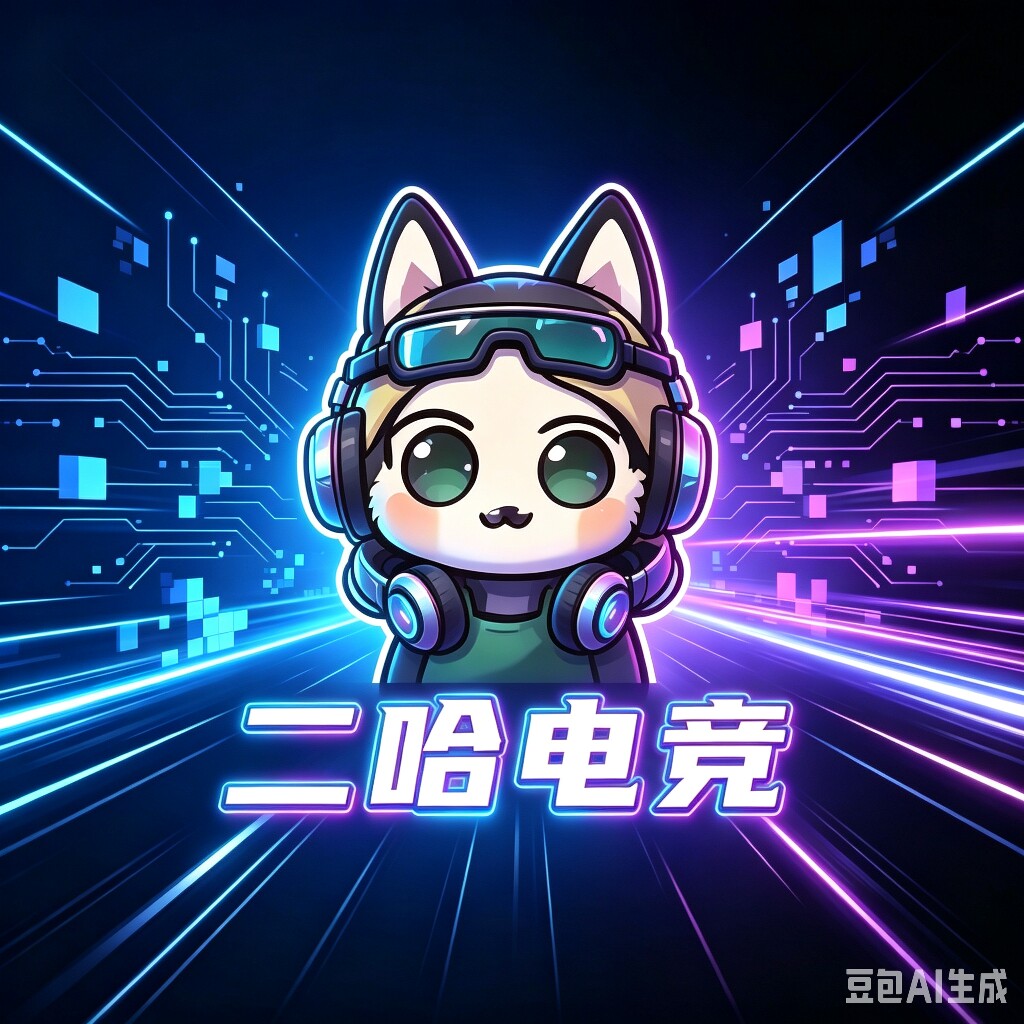 二哈电竞工作室