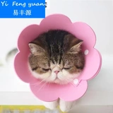 Кошачья корпус для противодействия солнечному цвету Ultra -светлая головка крышка кошачья кошачья шея Кольцо против