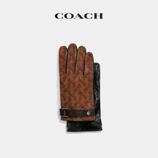 Перчатки 【618狂欢日】coach/蔻驰男士马车图案手套
