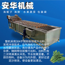 Large vegetable washing machine commercial fruit and vegetable bubble cleaning multi-function spray fully automatic washing machine assembly line