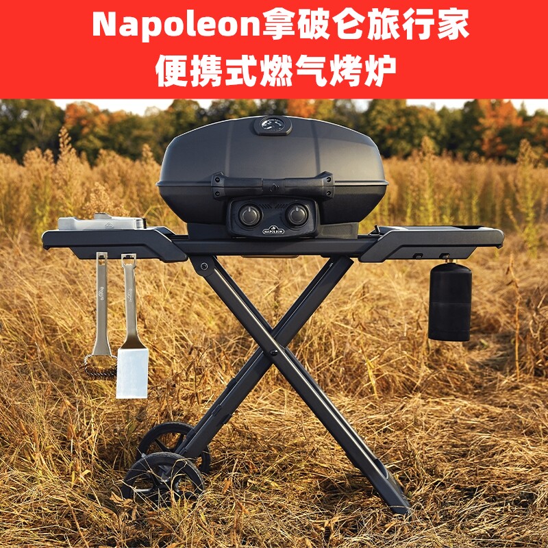 Napoleon Outdoor Grill Portable Home Gas Grill Folding Grill American Courtyard Grill Grill Grill