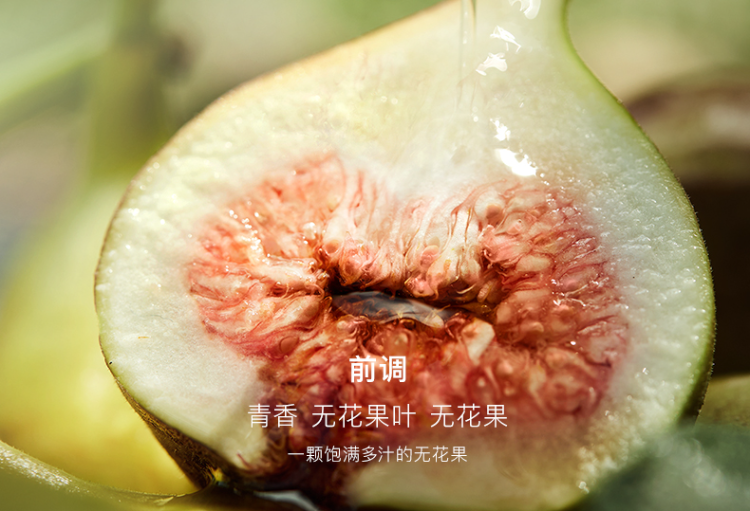 Image110_76782_1