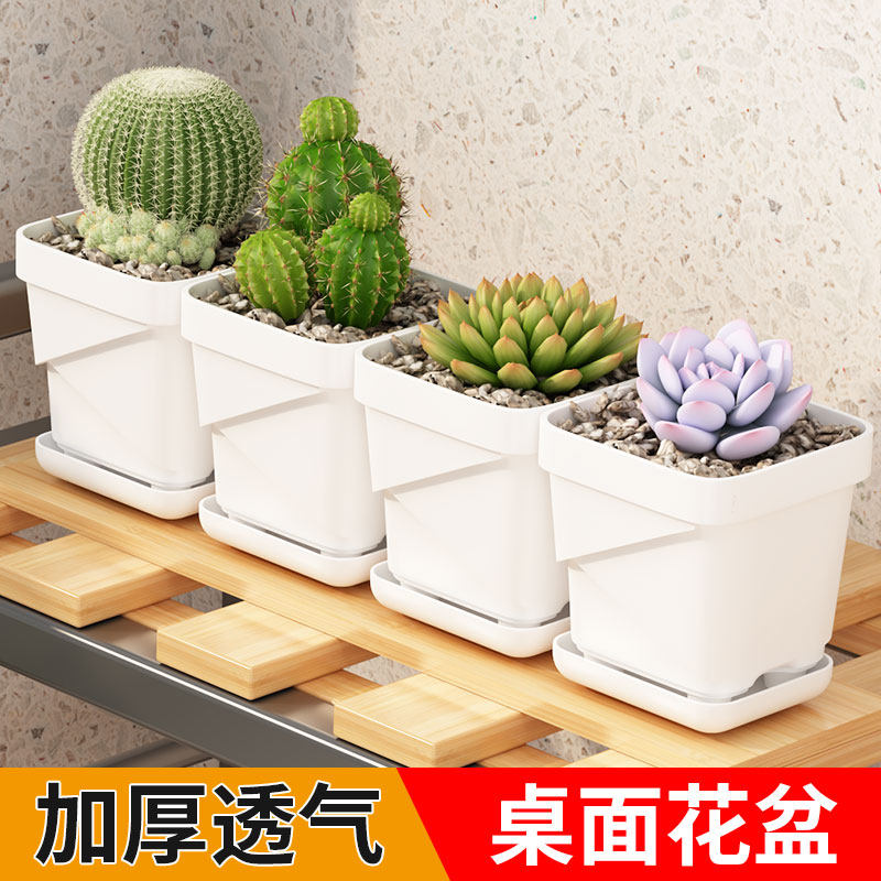 透气多肉花盆加厚精致小花盆办公室桌面塑料方形创意盆栽带托盘