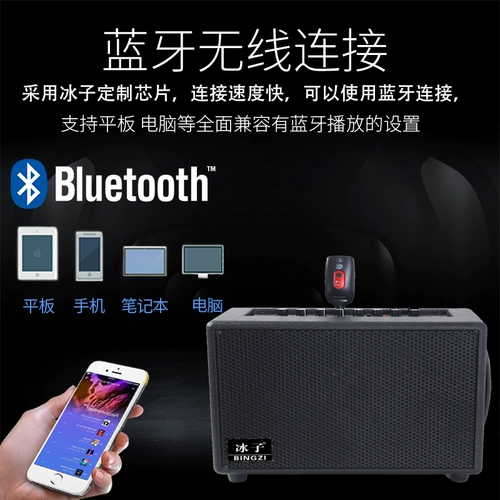 Справочный динамик для волос BZ-T1 IELTS Специальный динамик Яйя Ролан