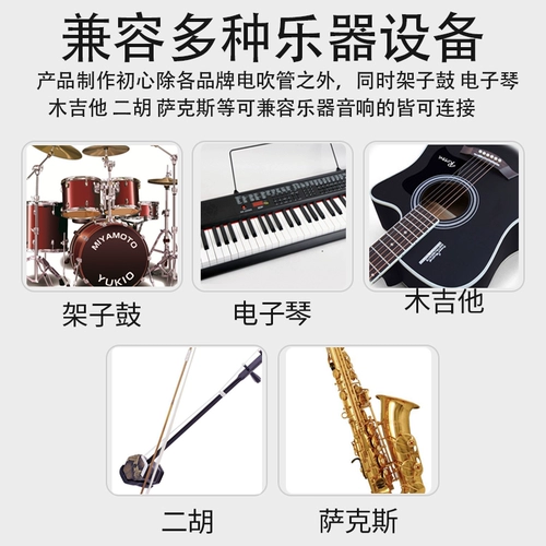 Справочный динамик для волос BZ-T1 IELTS Специальный динамик Яйя Ролан