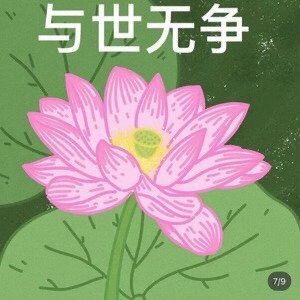 你的33崽