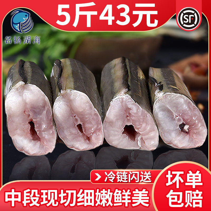 Conger eel eel segment eel meat eel commercial mango eel fresh eel sea fish fresh SF Express