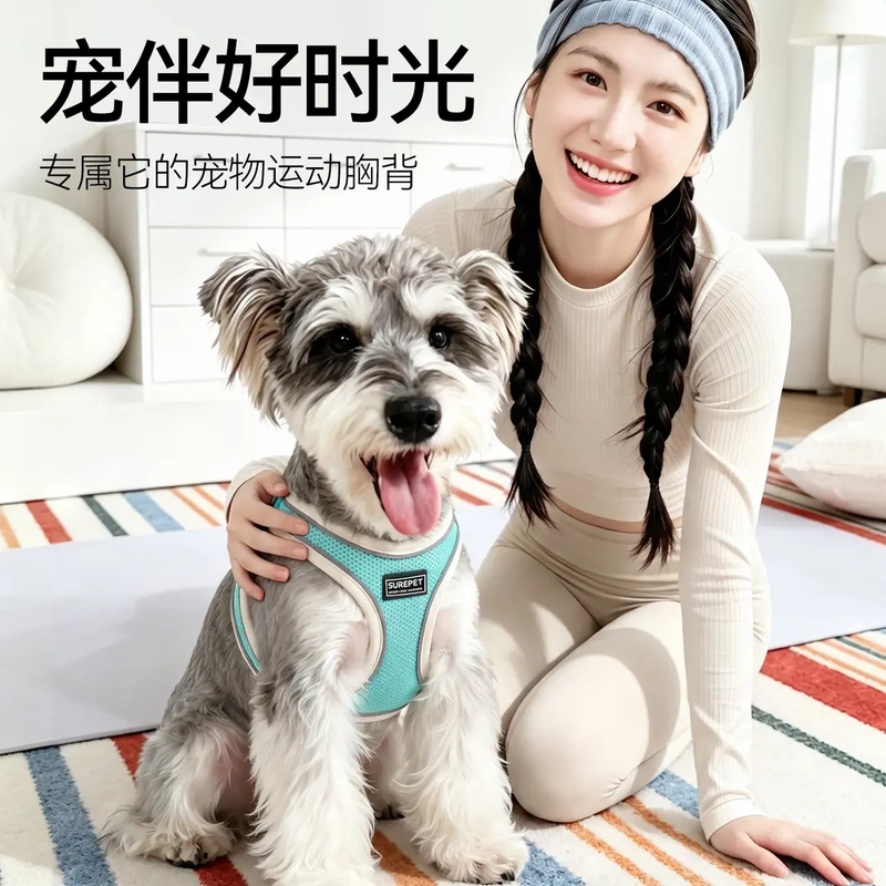 Dog Leash for Small and Medium-Sized Dogs, Teddy, Bichon, Summer Breathable Vest-Style Dog Leash, Anti-Escape Dog Walking Leash Harness Dog Leash for Small and Medium-Sized Dogs, Teddy, Bichon, Summer Breathable Vest-Style Dog Leash, Anti-Escape Dog Walking Leash Harness