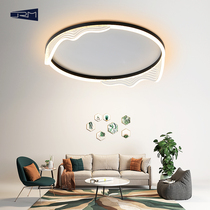 Simple modern light luxury led ceiling lamp bedroom lamp Nordic creative personality warm room lamp atmospheric living room lamp