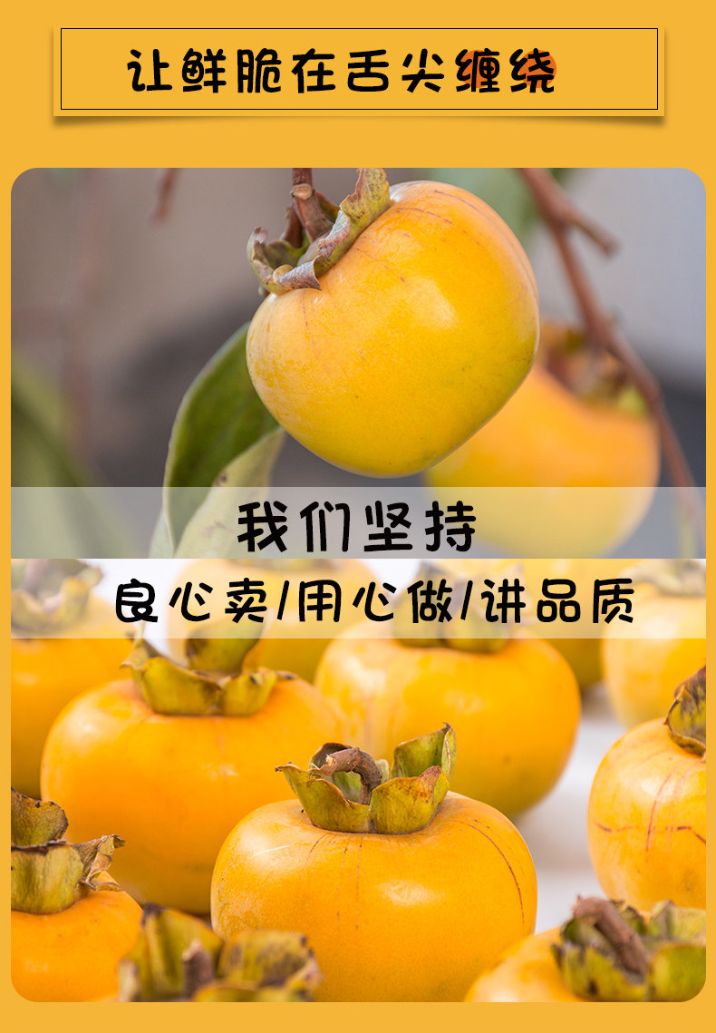 运城水果柿子 巧克力脆皮柿子 4.5斤 图2