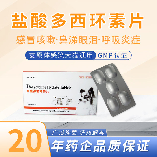 Bebe Pet Doxycycline Cat and Dog Cough Anti-inflammatory Drugs Bebe Pet Doxycycline Cat and Dog Cough Anti-inflammatory Drugs