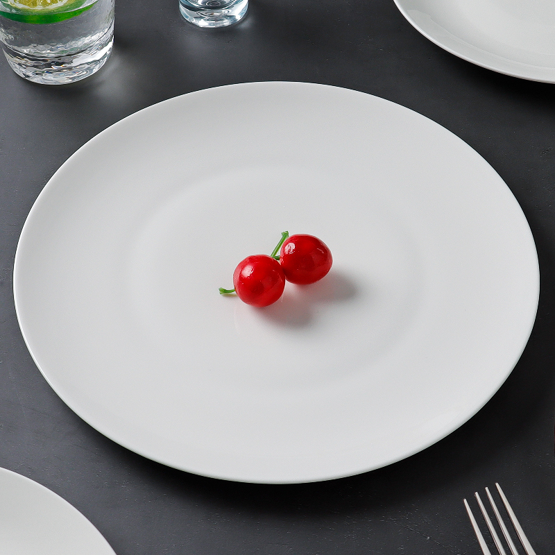 19.8 Two 10inch Large Plates for Home Use, Western-Style Ceramic Plates, Breakfast Pasta Plates, Flat Plates, Steak Dinner Plates 19.8 Two 10inch Large Plates for Home Use, Western-Style Ceramic Plates, Breakfast Pasta Plates, Flat Plates, Steak Dinner Plates