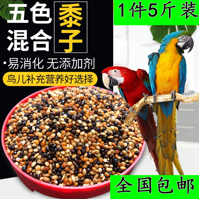 Cockatiel feed special bird food shellfish bird food feed embroidered eye bird food feed special cockatiel feed