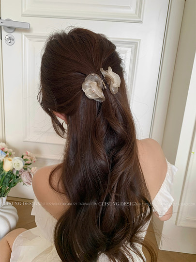 Champagne Flower Rhinestone Small Hair Claw Clip for Women, Hair Accessory for the Back of the Head, High-End Shark Clip
