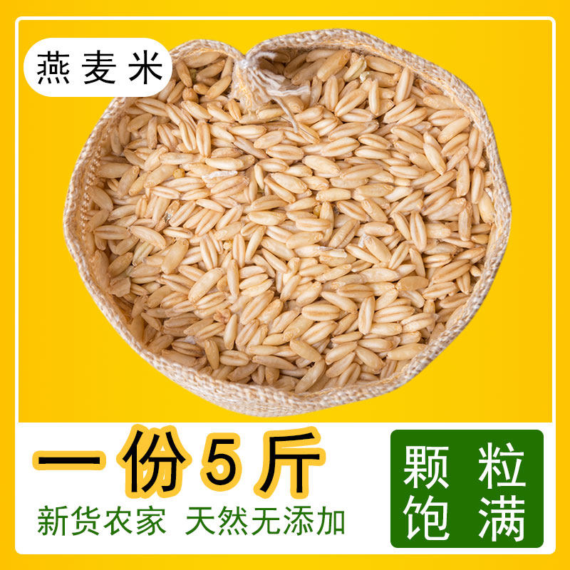 New oatmeal rice autumn farm oatmeal farm oatmeal steamed rice boiled porridge five grains 5 pounds
