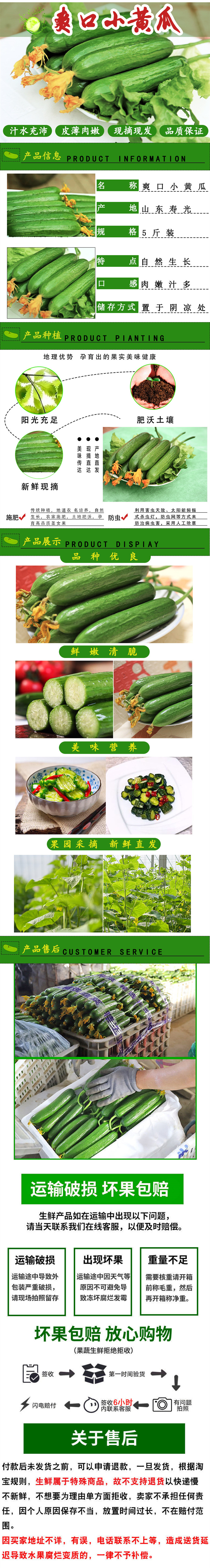 八方美 山东寿光 新鲜水果黄瓜 5斤 图1