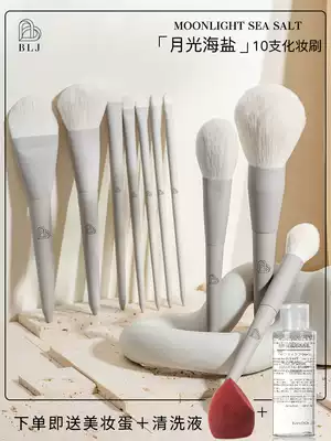 BLJ portable set brush Moonlight sea salt makeup brush eyeshadow powder blush concealer detail brush full set
