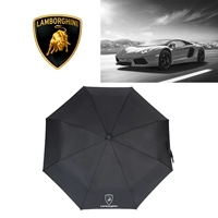 Lamborghini, полностью автоматический