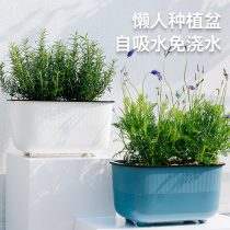 Balcony vegetable pot artifact Lazy automatic suction flower pot Rectangular flower tank Family planting box Plastic vegetable box