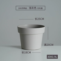 200 ежемесячного света в горшке-сером-нет доверия