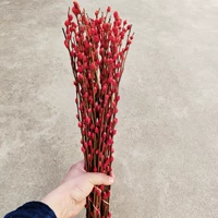 Специальное предложение красное около 50 см40 филиалов