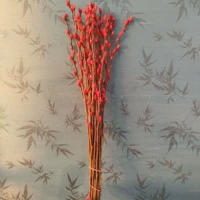 Около 50 см в красном