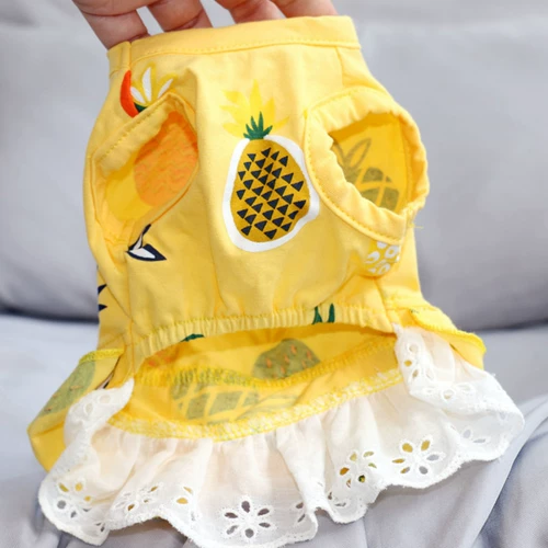 Летняя тонкая юбка для домашних животных собачья одежда, Тедди Бомей Бупин Ингбин Йорк Лето маленькая собачья юбка принцессы