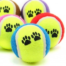 Pet toy ball tennis non-vocal dog toy puppy toy training interactive toy