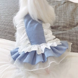 KZ Cardamom Fog Mai Blue Spring и летняя одежда для любимой собаки