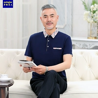 8128 Тибетский Цин