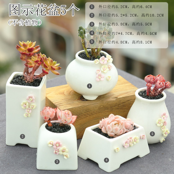 Succulent flowerpot ceramic special clearance creative retro personality plant rough pottery indoor small flowerpot large diameter