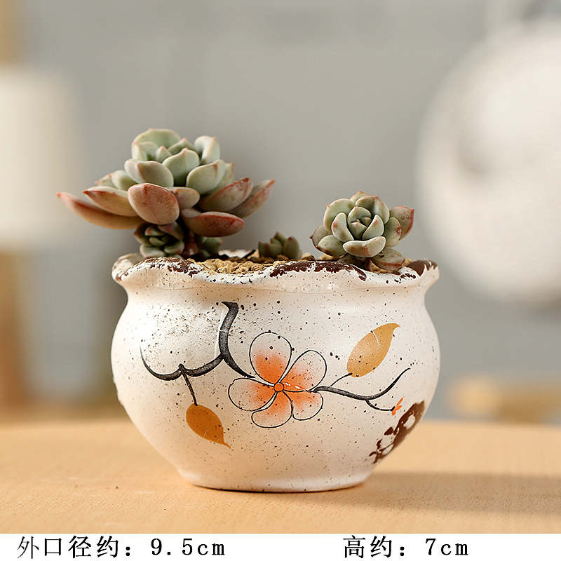 Period contracted indoor fleshy flower - pot ceramic creative Chinese wind hand - made pottery basin of flesh, flesh POTS