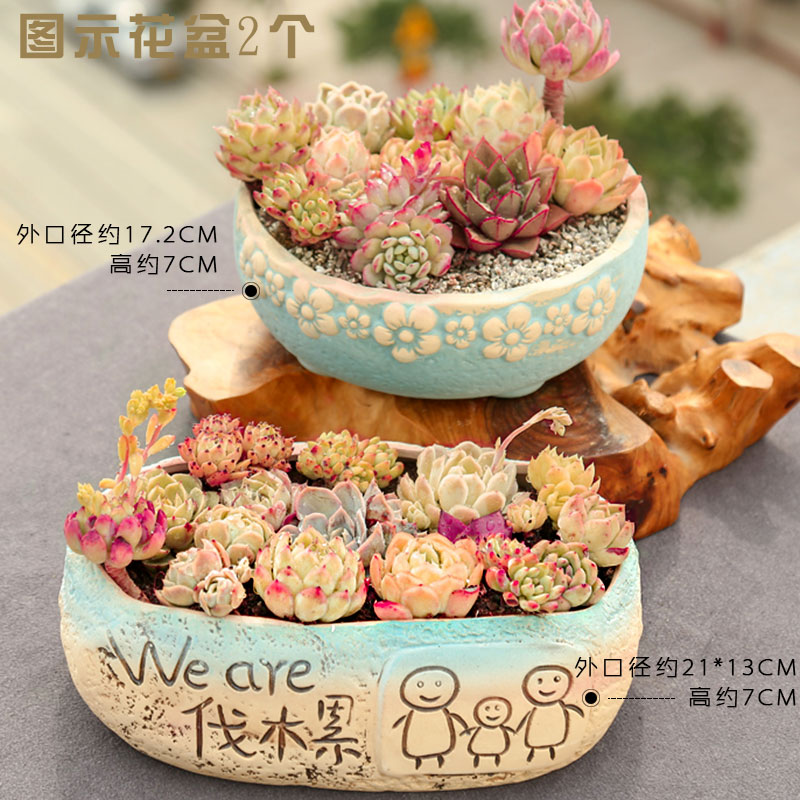 End flowerpot ceramic sale indoor the plants, fleshy meat meat clearance diameter platter small flower pot in coarse pottery