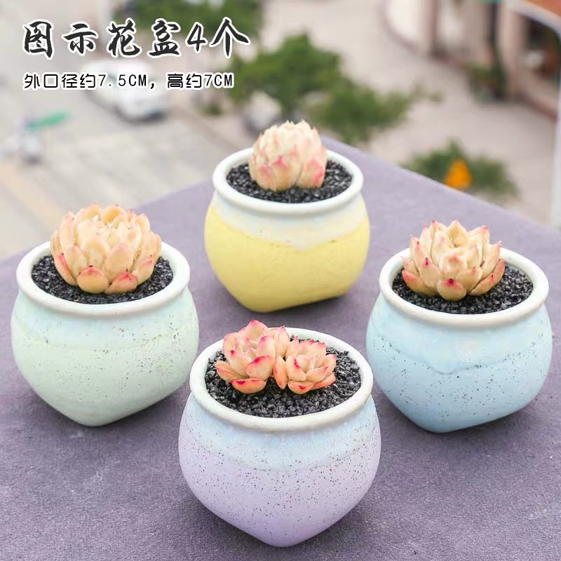 End flowerpot ceramic sale indoor the plants, fleshy meat meat clearance diameter platter small flower pot in coarse pottery