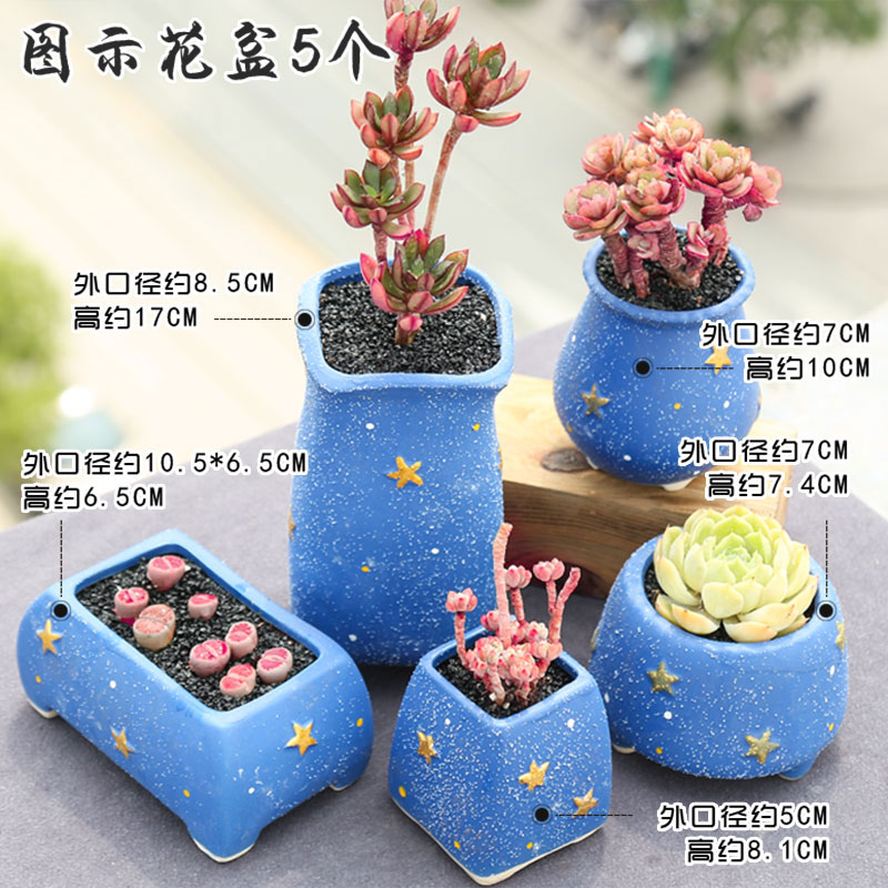 Fleshy flowerpot ceramic package mail special offer a clearance of creative move plant coarse pottery indoor flower pot in restoring ancient ways of large diameter