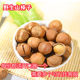 2025 New Hazelnuts, Northeast Specialty, Wild Fresh Roasted Iron-Ling Hazelnuts, Original Flavor, Thin-Shelled Small Hazelnuts