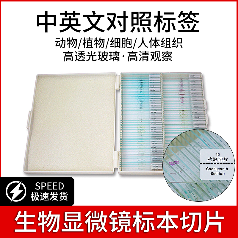 Biomicroscope specimen Puteach glass slicing of animal and plant bacterial cells in English and Chinese against experimental children's slide