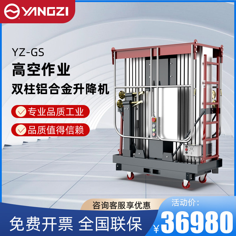 Yanko Electric Lift Platform Electric Hydraulic Lift Double Column High Fit Mobile Warehouse Manned Small Cargo Ladder