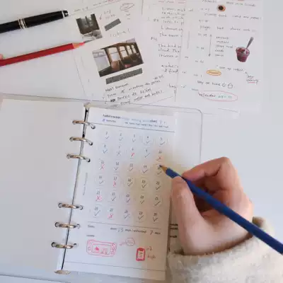 MaisonPromenade Tulip loose-leaf core replacement core six-hole Note notebook hand account supplementary bag