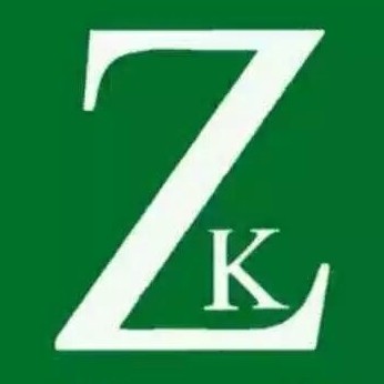 中国ZK专业祛痘的LOGO