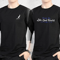 Два кусочка обычных перьев черные+мировые черные