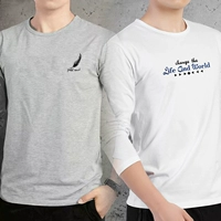 Два куска обычного перья серого+мир белый