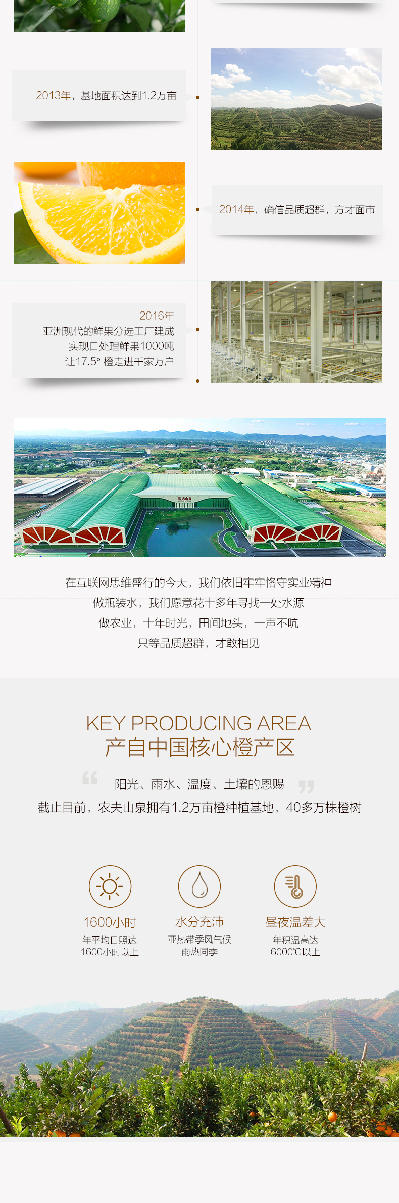 小编多次回购 农夫山泉 17.5°橙 铂金果 6斤 图6