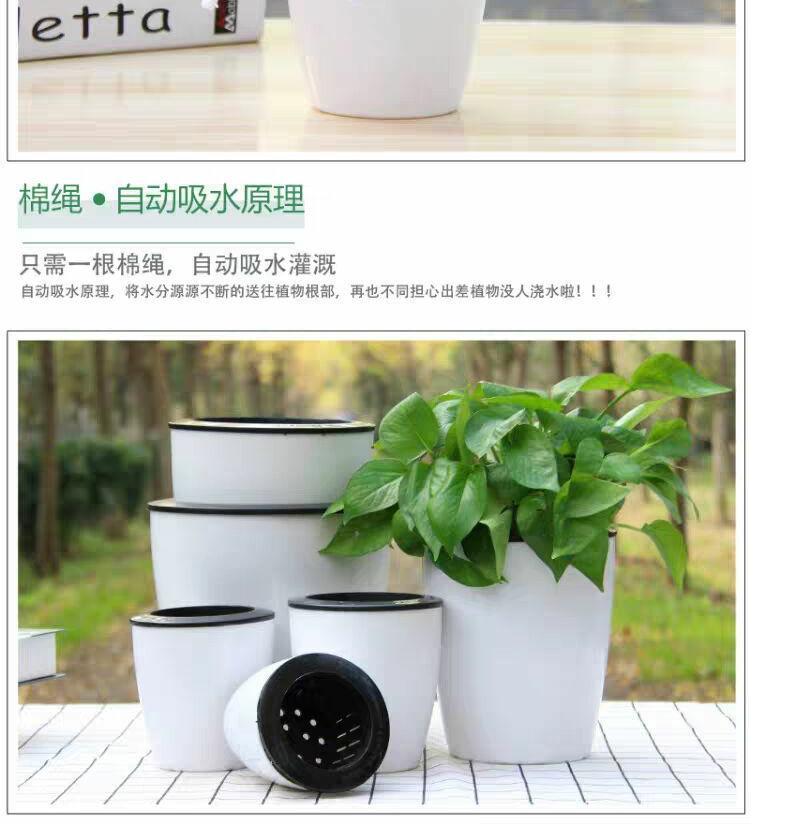 Thickening automatic suction couch potato ridging indoor office water culture more meat other medium porcelain plastic flower POTS