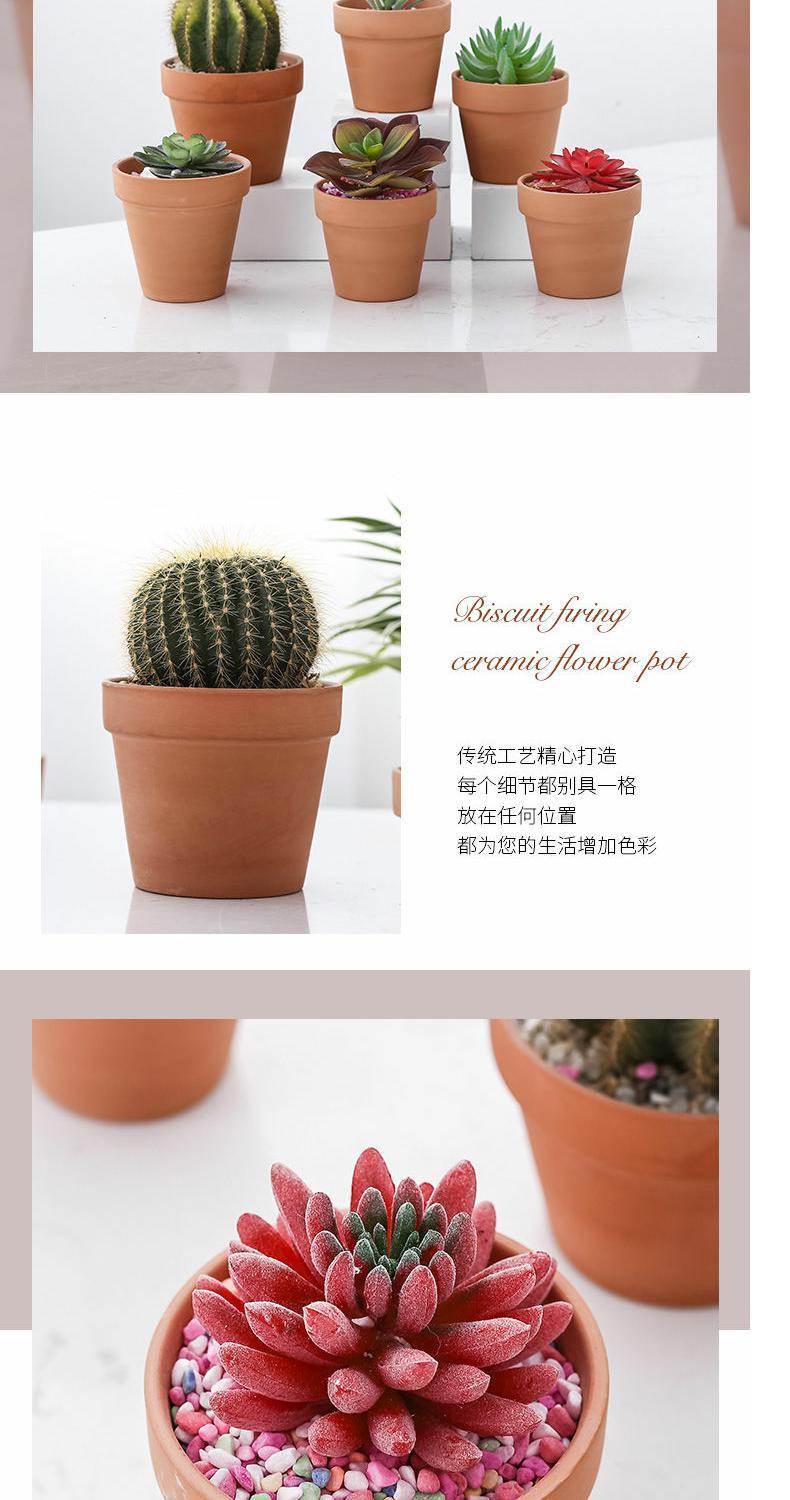 Flushed red pottery fleshy flower pot seedling large thick clay ceramic made of baked clay mud short basin of large diameter special package mail